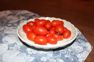 IMG_7392