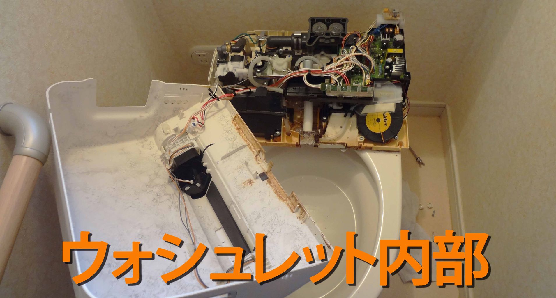 ウォシュレットの清掃 Shiderz402のブログ ウォシュレットの清掃 Shiderz402のブログ