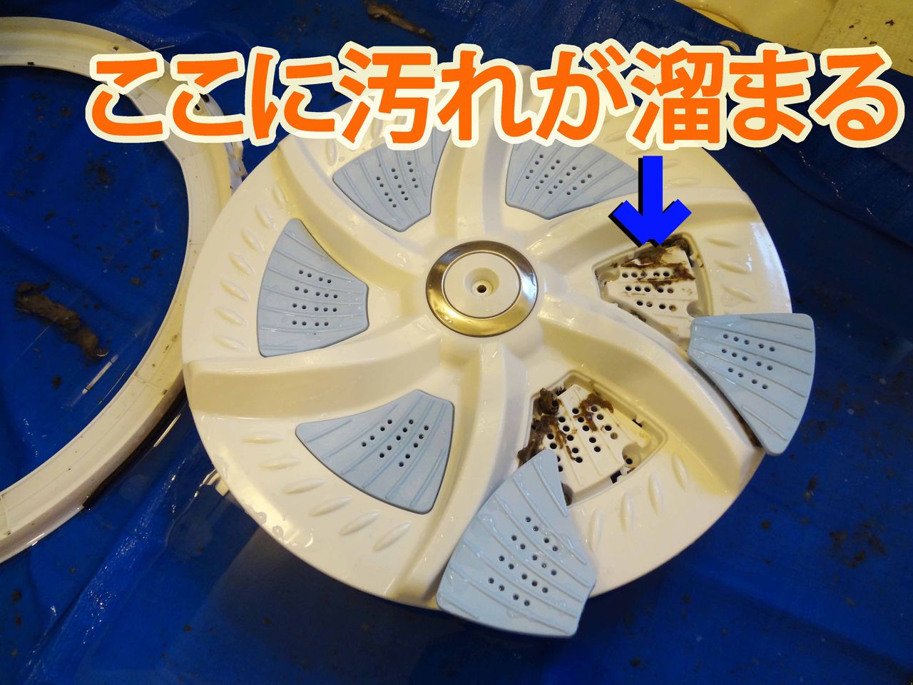 99円 豪華で新しい 42063151 東芝 洗濯機パルセーター用の取付ネジ1個 TOSHIBA ※ボルトのみの販売です 99円 豪華で新しい 42063151 東芝 洗濯機パルセーター用の取付ネジ1個 TOSHIBA ※ボルトのみの販売です