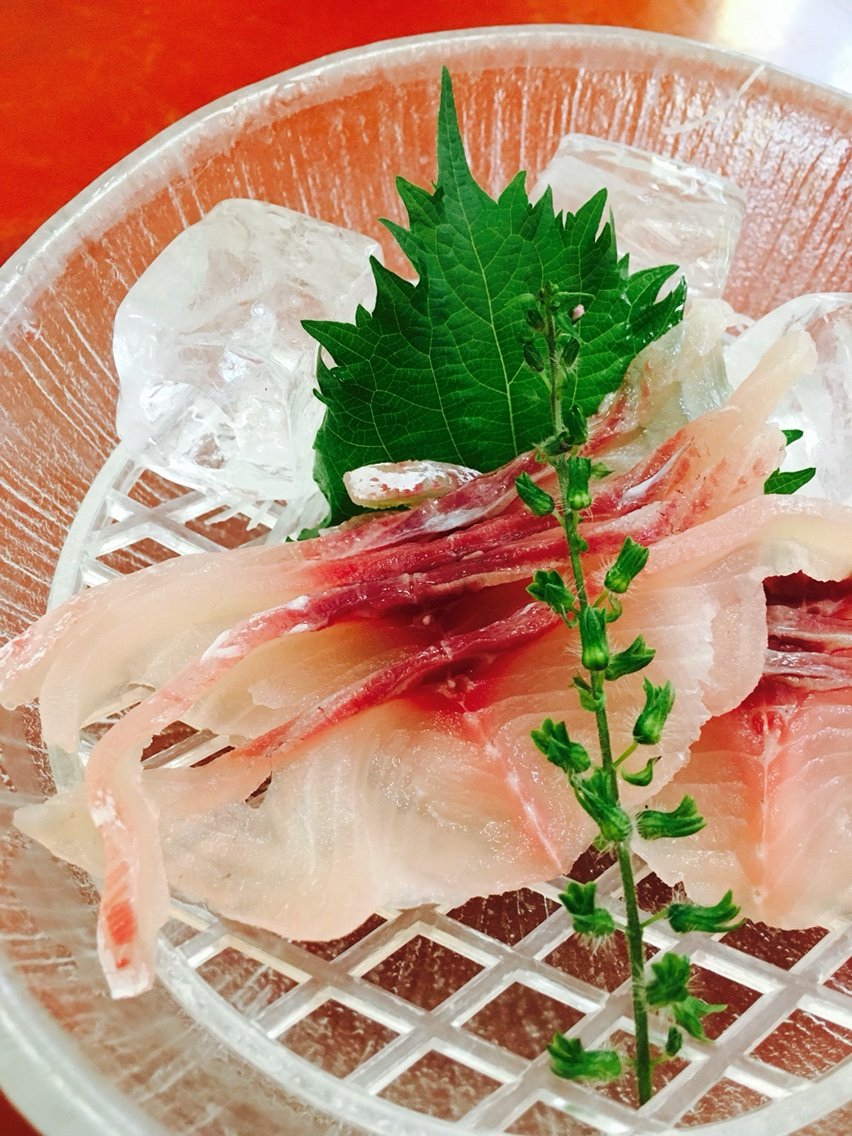 柴又にある老舗 川千家 でうなぎと鯉のあらい食べてきた しげとこにっき 柴又にある老舗 川千家 でうなぎと鯉のあらい食べてきた しげとこにっき