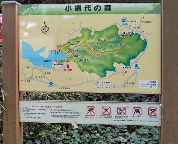 富士と歩こう 3 油壷 三崎口 其の2 漫歩人の戯言