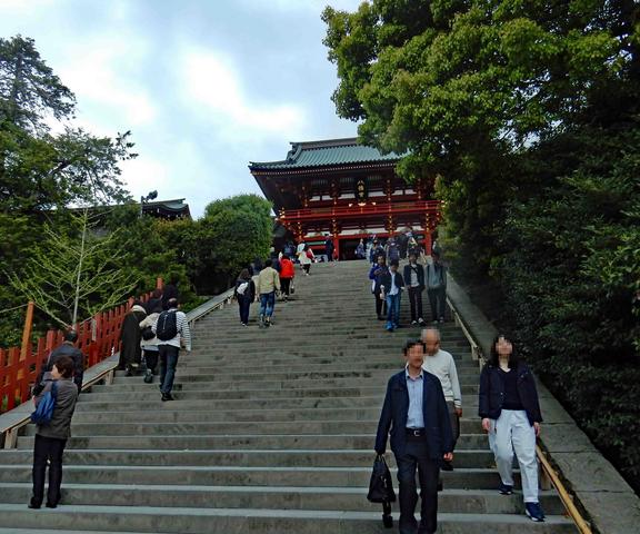 花の名所 光則寺 海蔵寺 妙本寺 漫歩人の戯言 花の名所 光則寺 海蔵寺 妙本寺 漫歩人の戯言