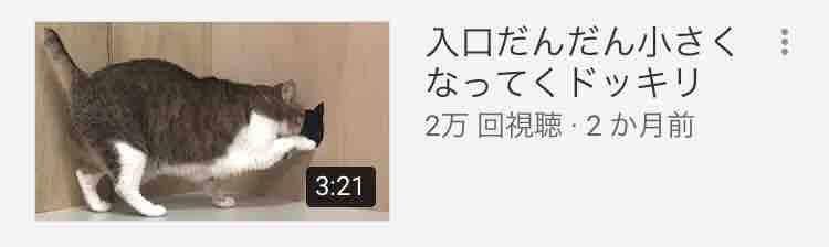 眠いよーよーよー 月珍 げっちん