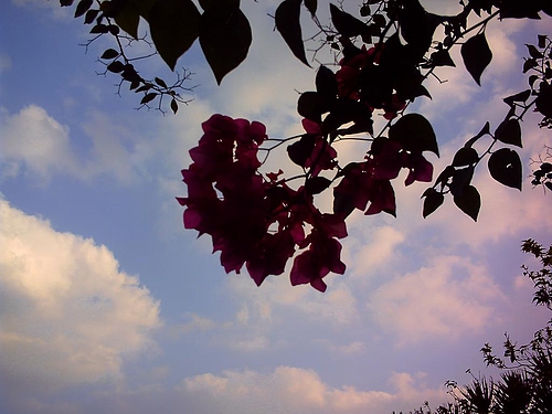 沖縄の空 沖縄の空
