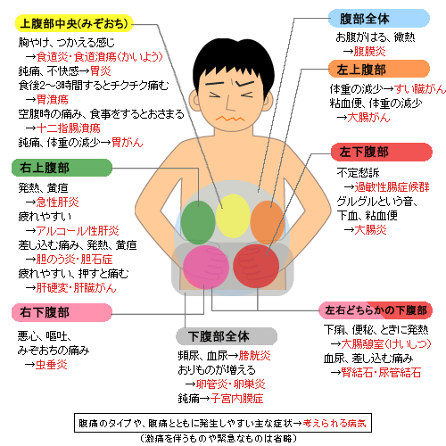 五臓六腑刺激団のit革命 Livedoor Blog ブログ
