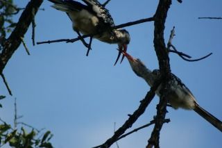 320DSC01777