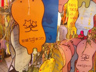 SH3805590001