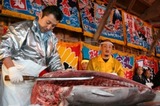 大間超マグロ祭り4