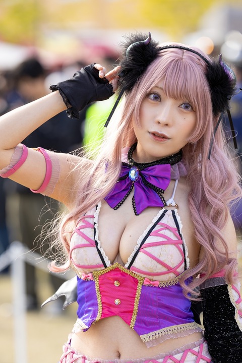 A12A0100 (カスタム)