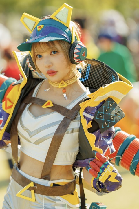 A13A1273R (カスタム)