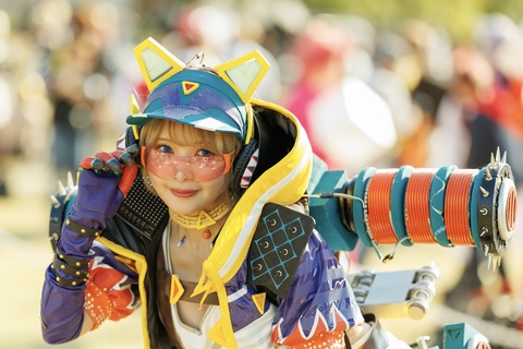 A13A1345R (カスタム)