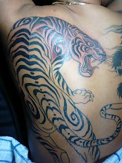 化け鯉 虎 刺青師 紫玉梵天