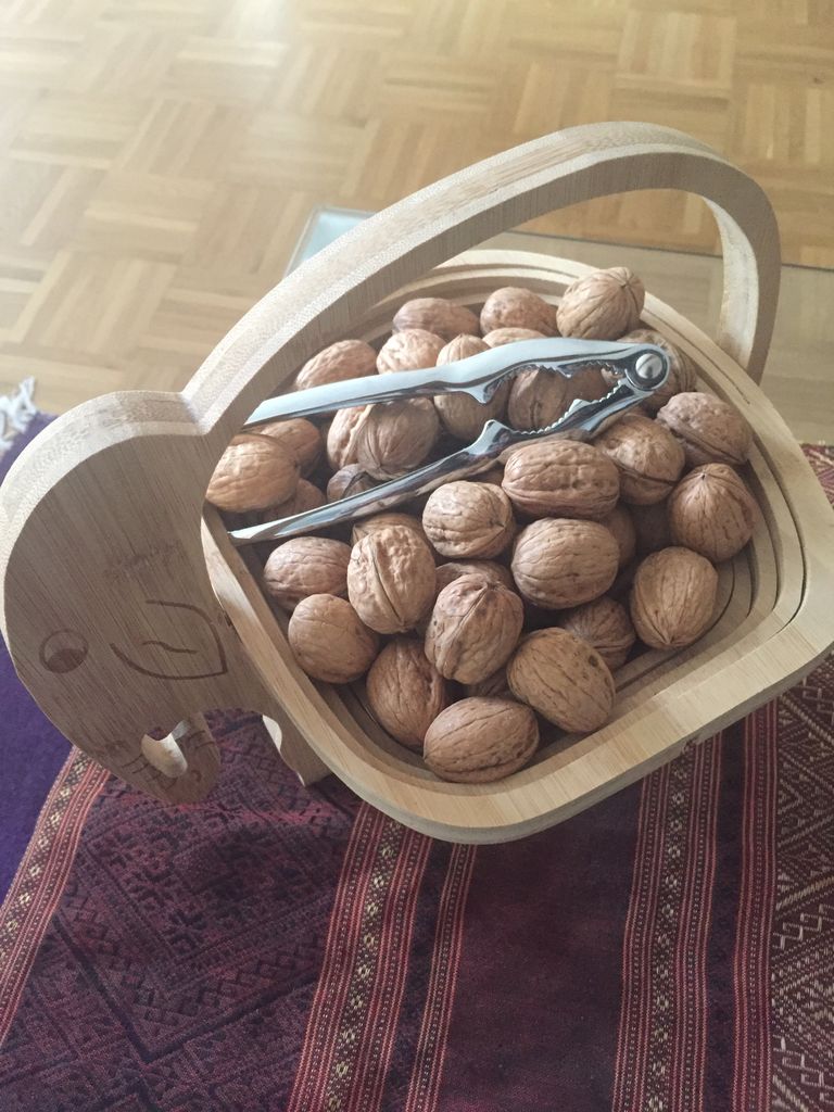 くるみを割って食べる ドイツ 天然暮らし