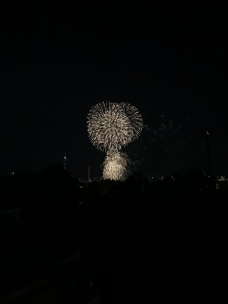 日本デー 18でした ドイツ 天然暮らし 日本デー 18でした ドイツ 天然暮らし