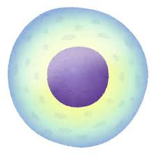 iPSºÙ˦¤Î¥¤¥é¥¹¥È
