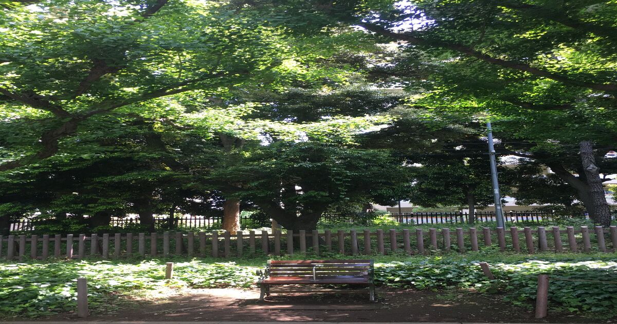 料理（料理）に関するWebメディア