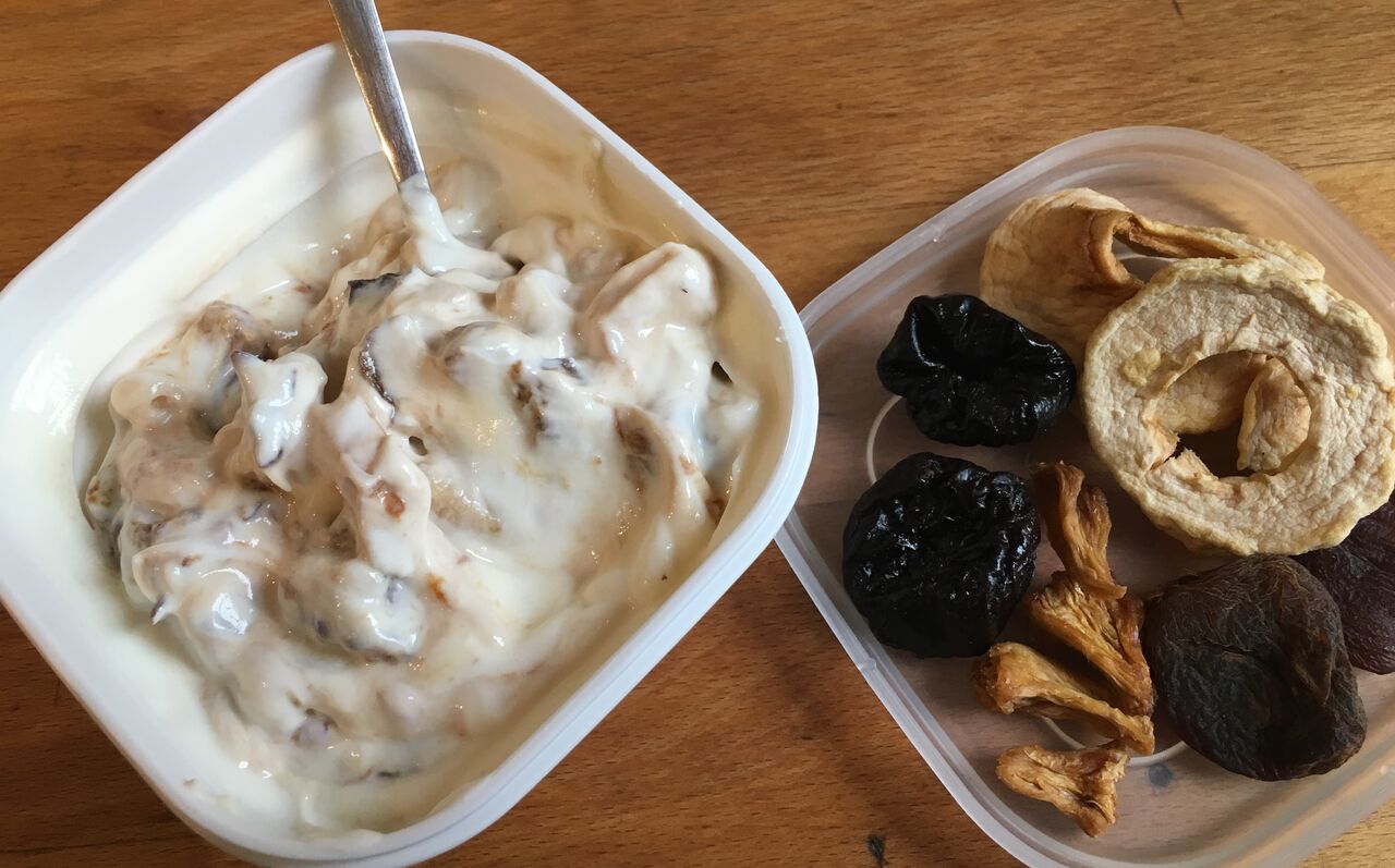 ドライフルーツのヨーグルト漬 発酵らぶ生活 In ドイツ