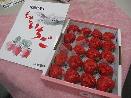 momoichigo