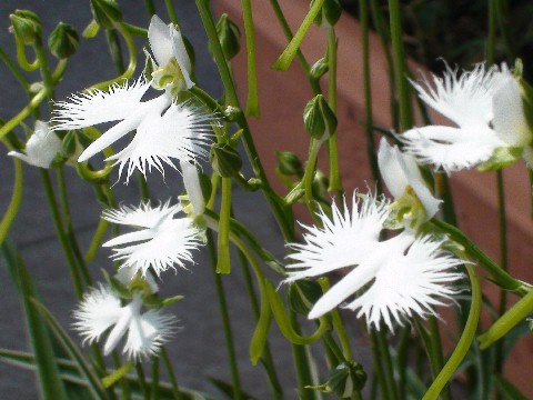 ���Ф���������