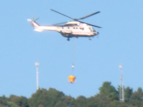 AS332