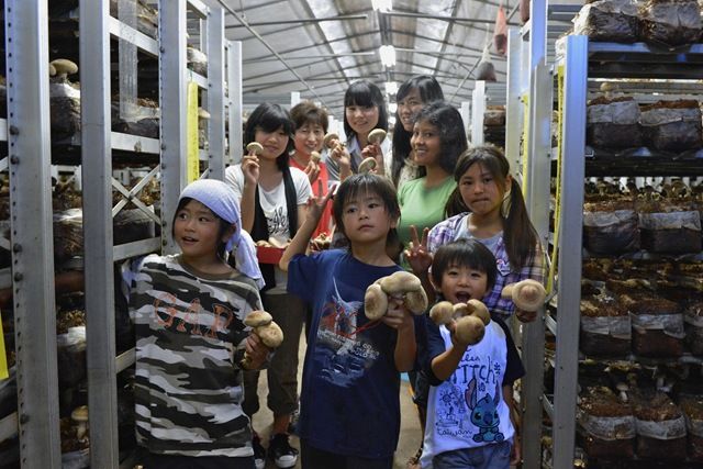 120701132241D40_0811