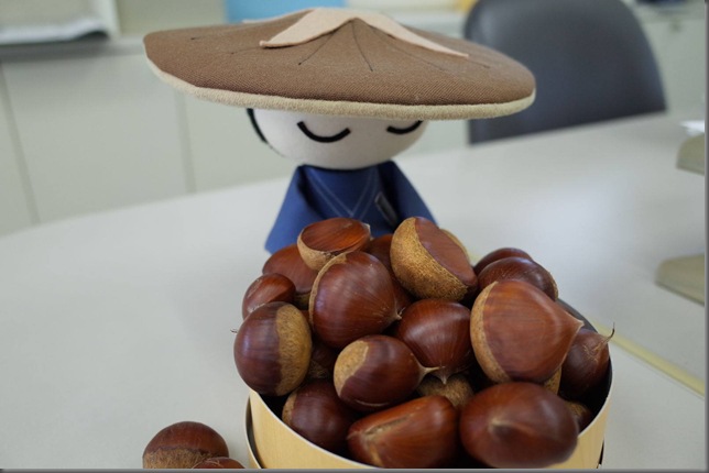 1264968_450991908348433_484717950_o