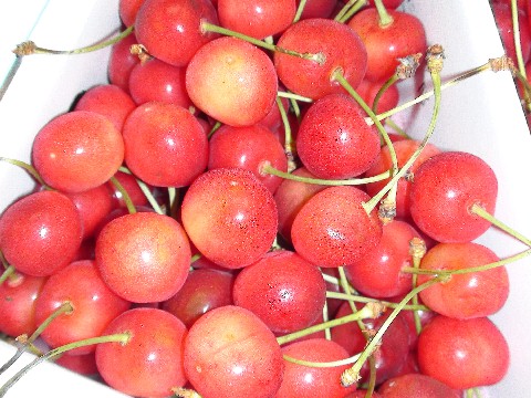 �Ť������������