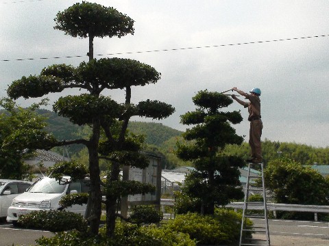 ���ե���