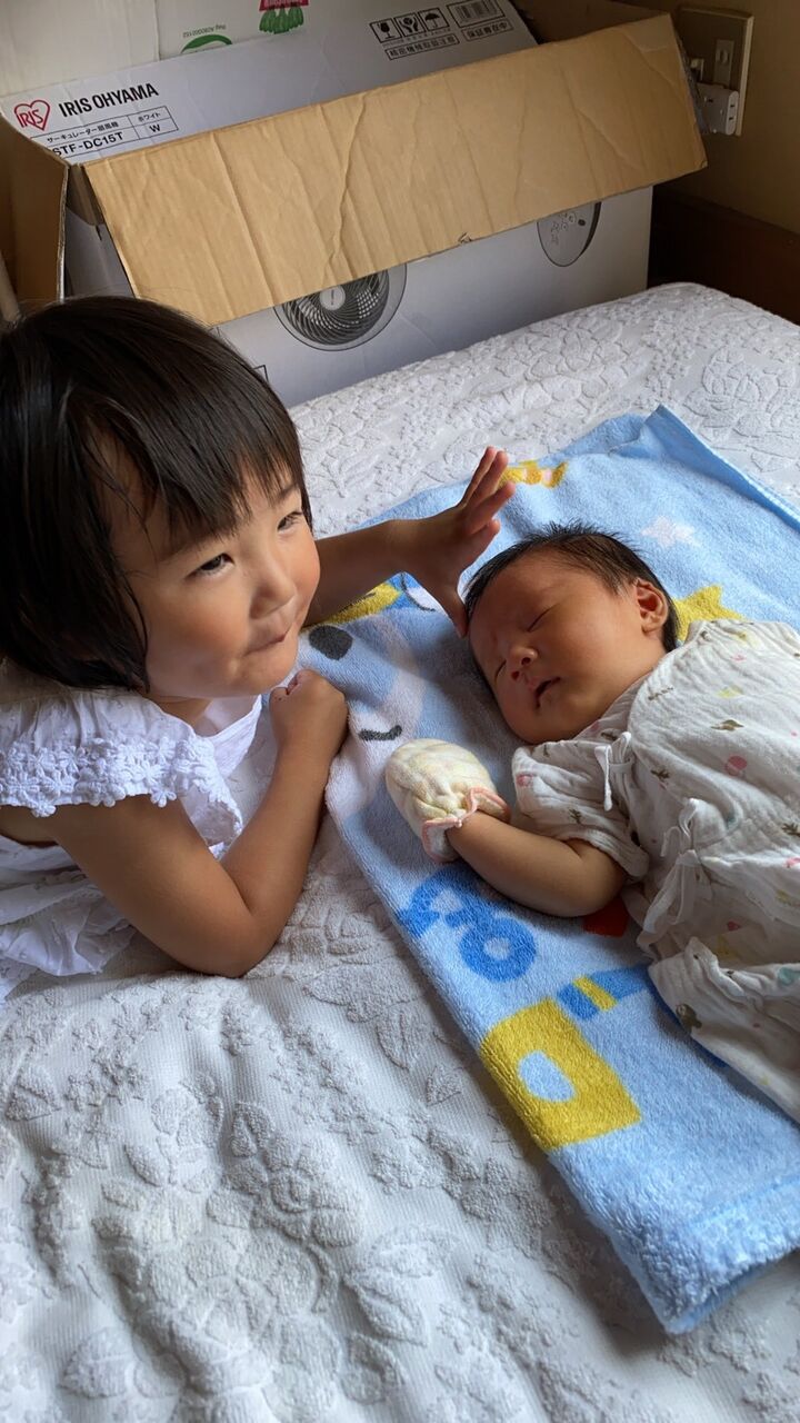 line_280820262350737