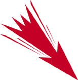 ����ʲ���