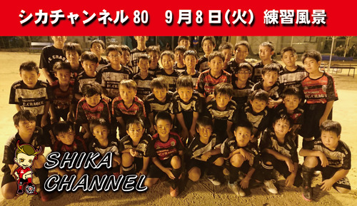 シカチャンネル80