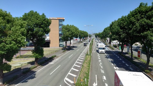 DSC_7071
