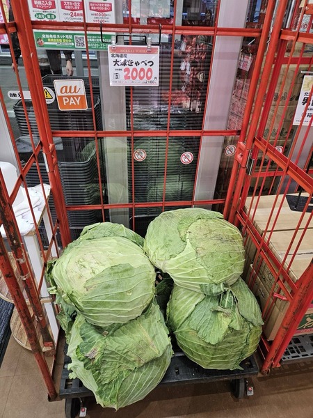 undefined - Imgur - 2025-01-19T213341.153