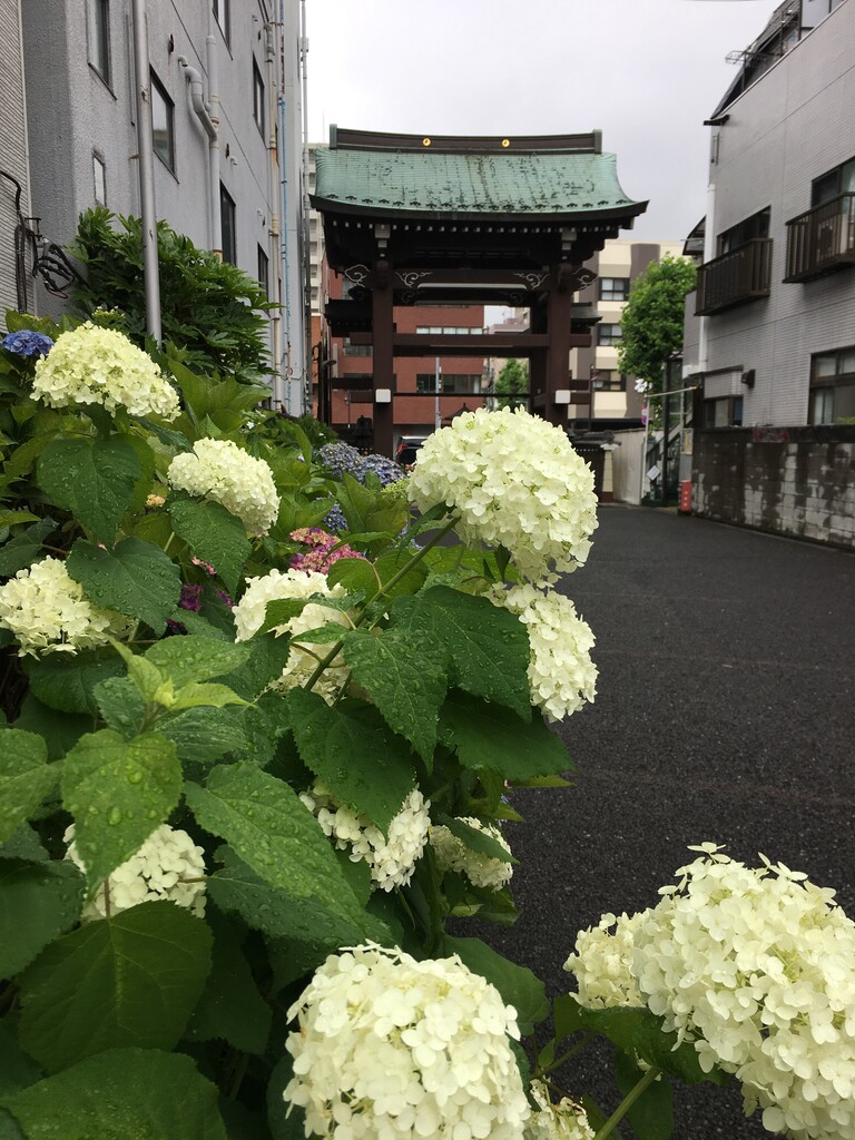 DDB16433-F586-4713-8C78-5075F7C618E7