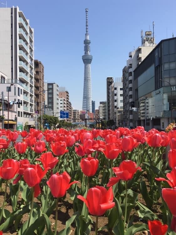 C301AB99-96CA-4F25-AE97-DA691ECA1B1E