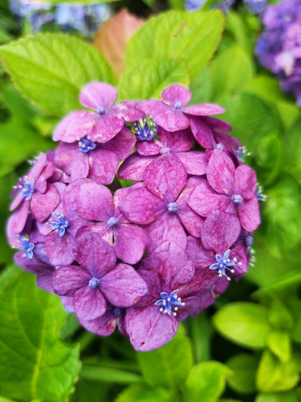 SNOW_20260610_142924_796