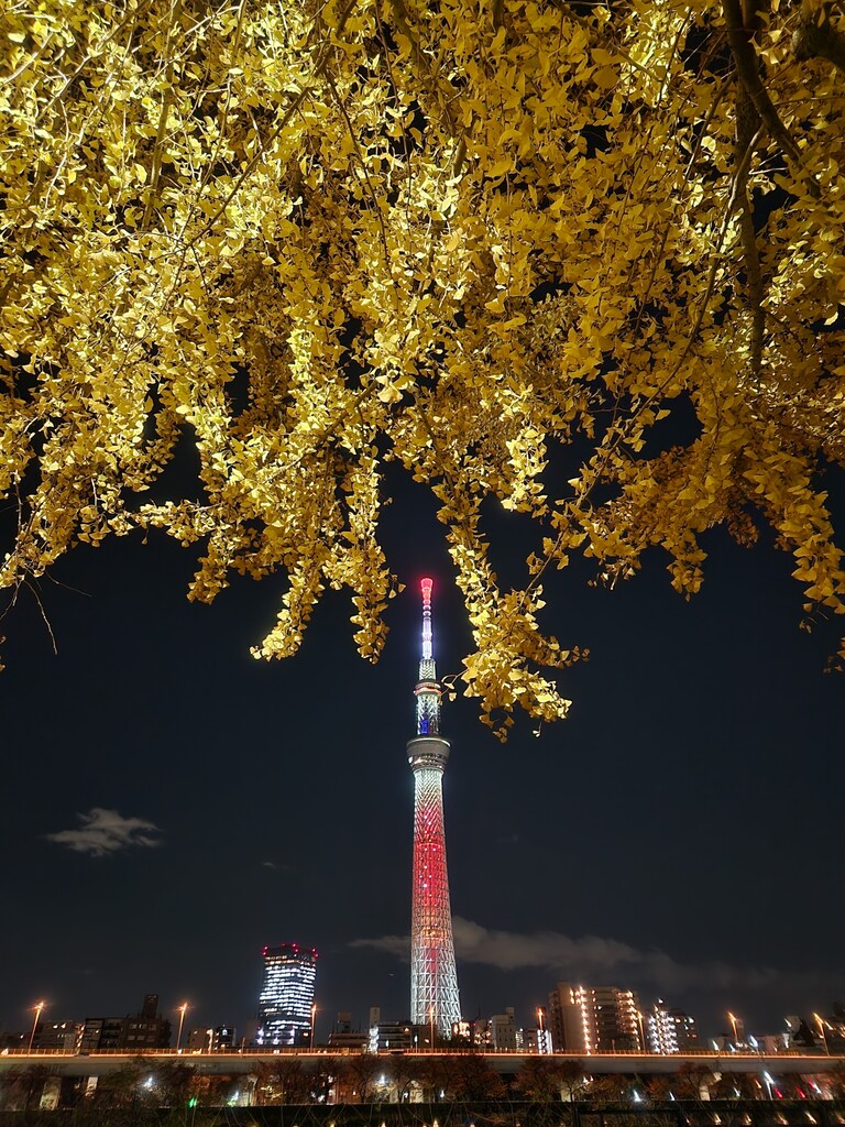 20231201_183530