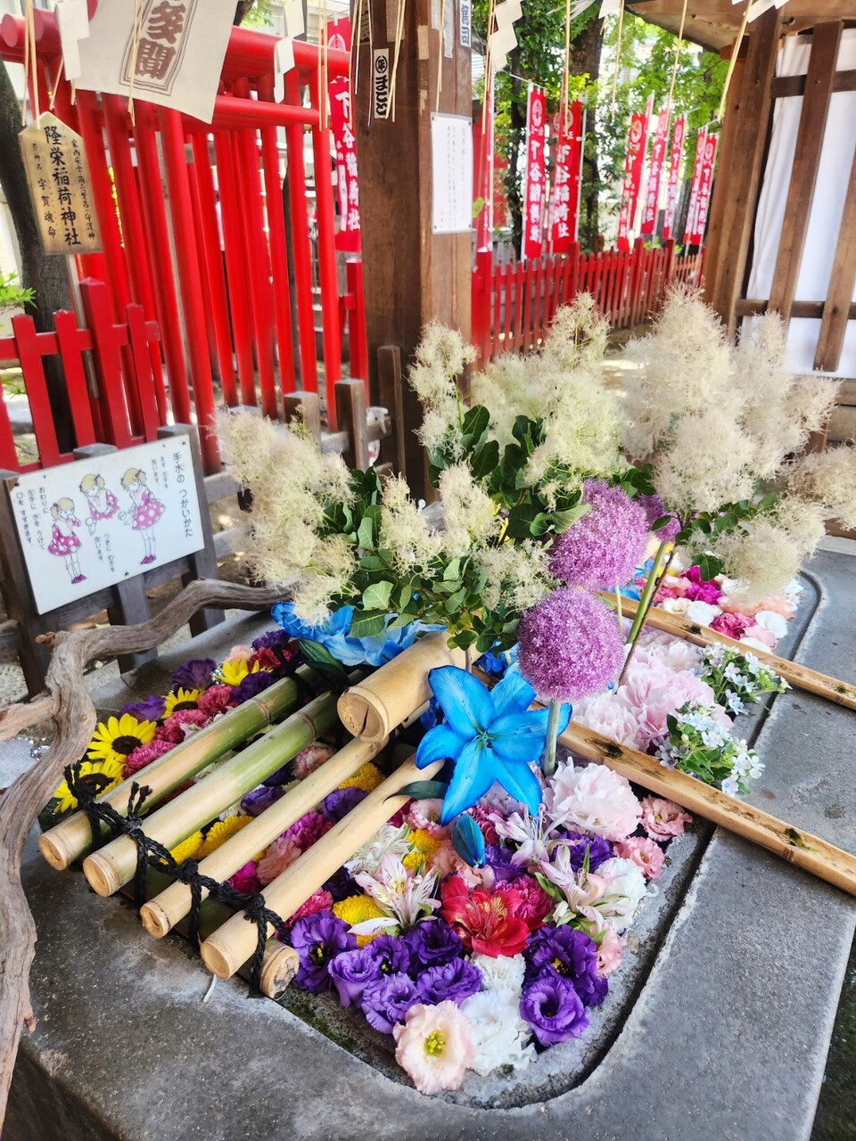 SNOW_20260601_133500_464