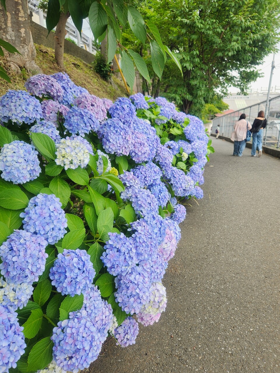 20260610_120956