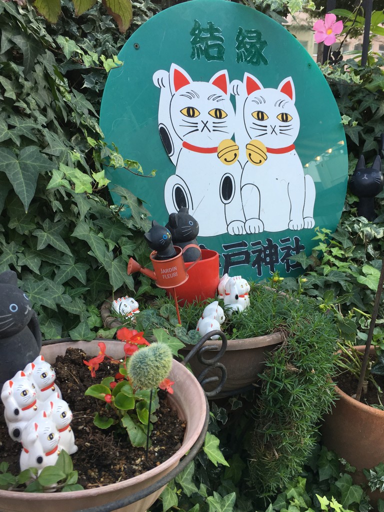 今戸神社のナミちゃんがいい所にいましたよ 鹿美の秘密の部屋 今戸神社のナミちゃんがいい所にいましたよ 鹿美の秘密の部屋