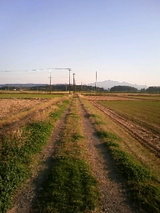 932786fa.JPG