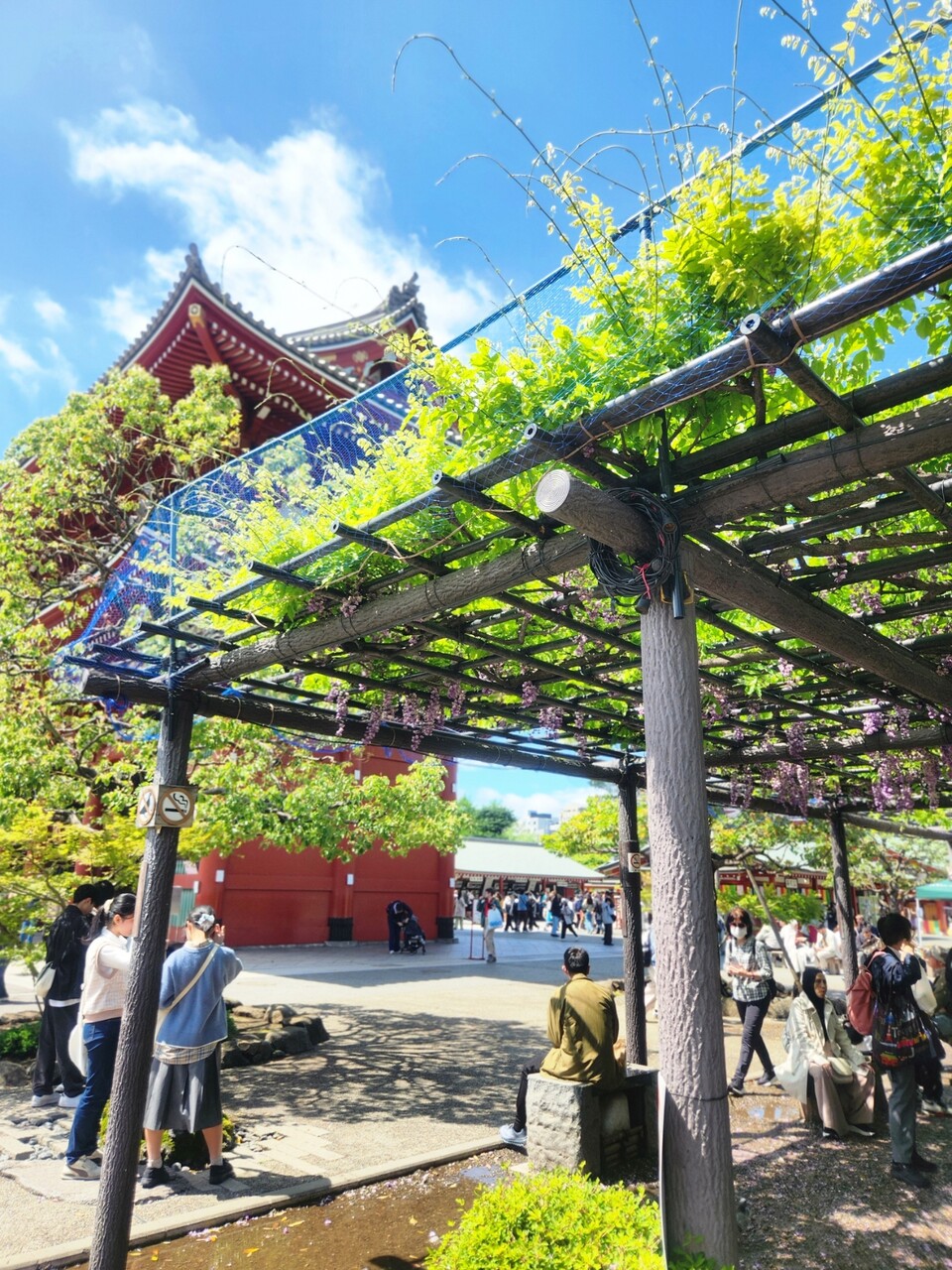 SNOW_20260429_101449_176
