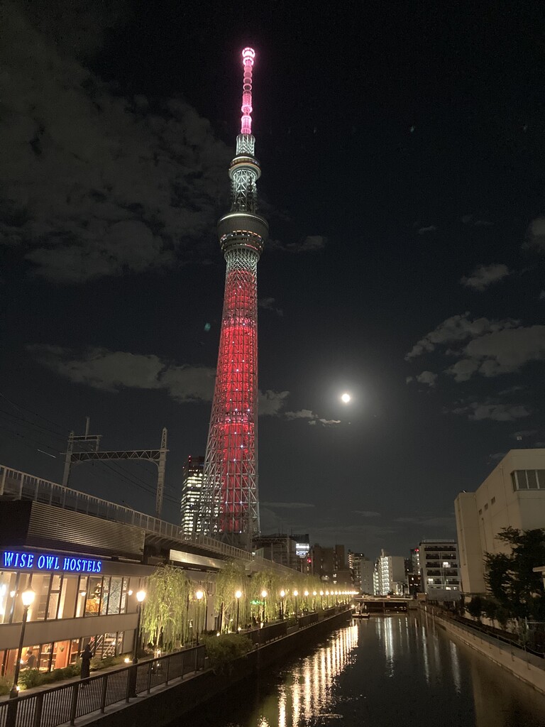A7670493-004E-4636-B5F2-F02DDF0D7205