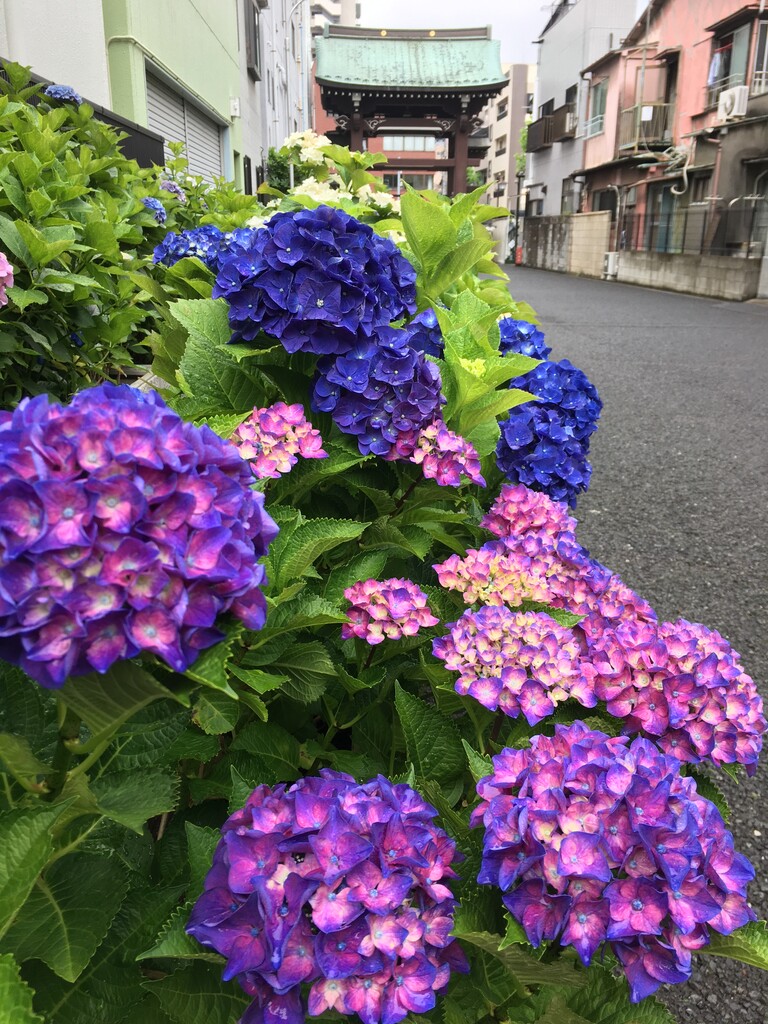 F612AEF4-DDB6-41EF-B33C-3E092C8FD9A5