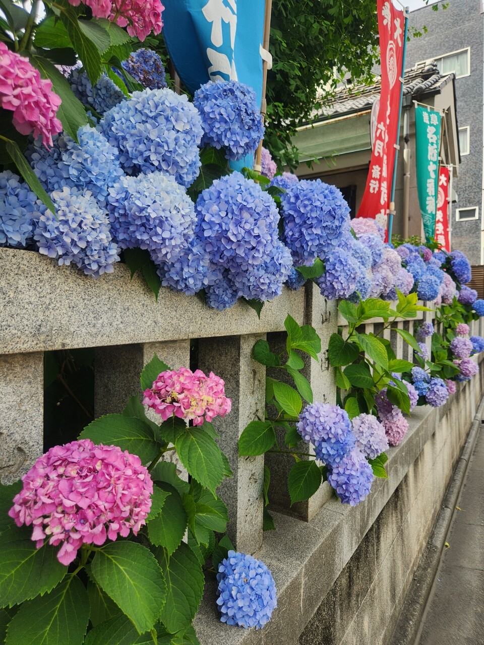 20260531_132948