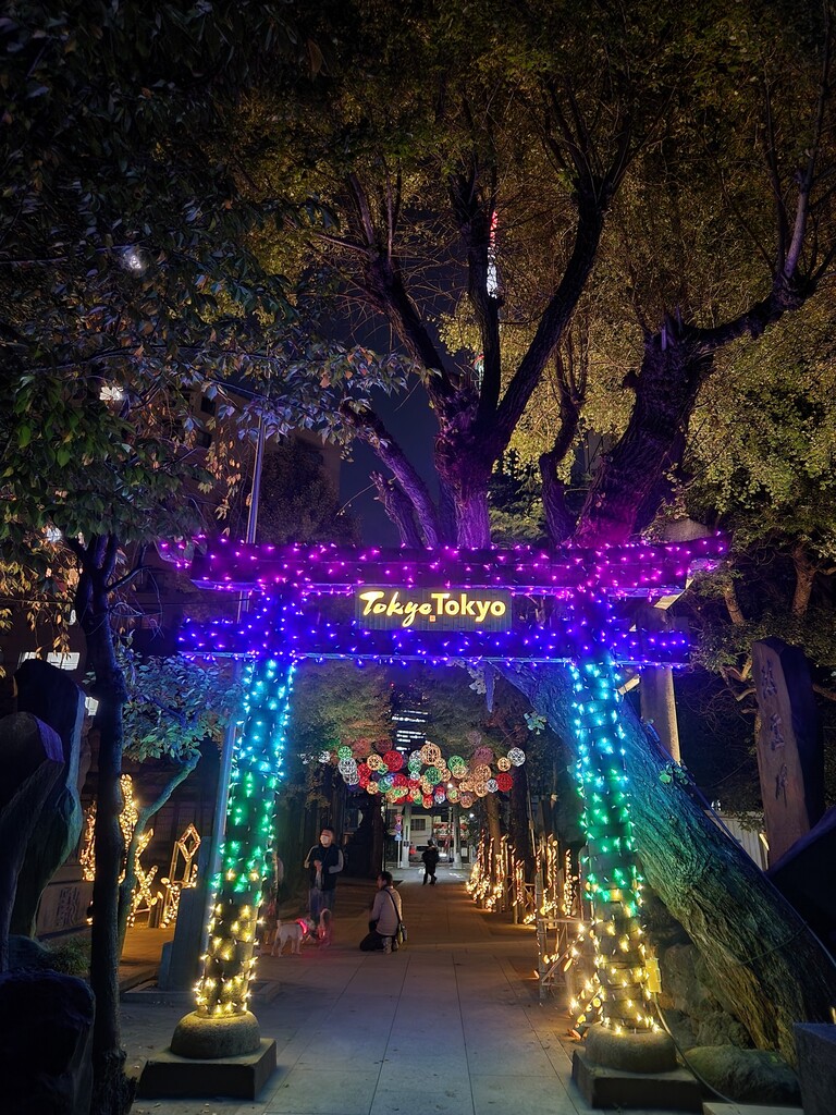 20221110_210843