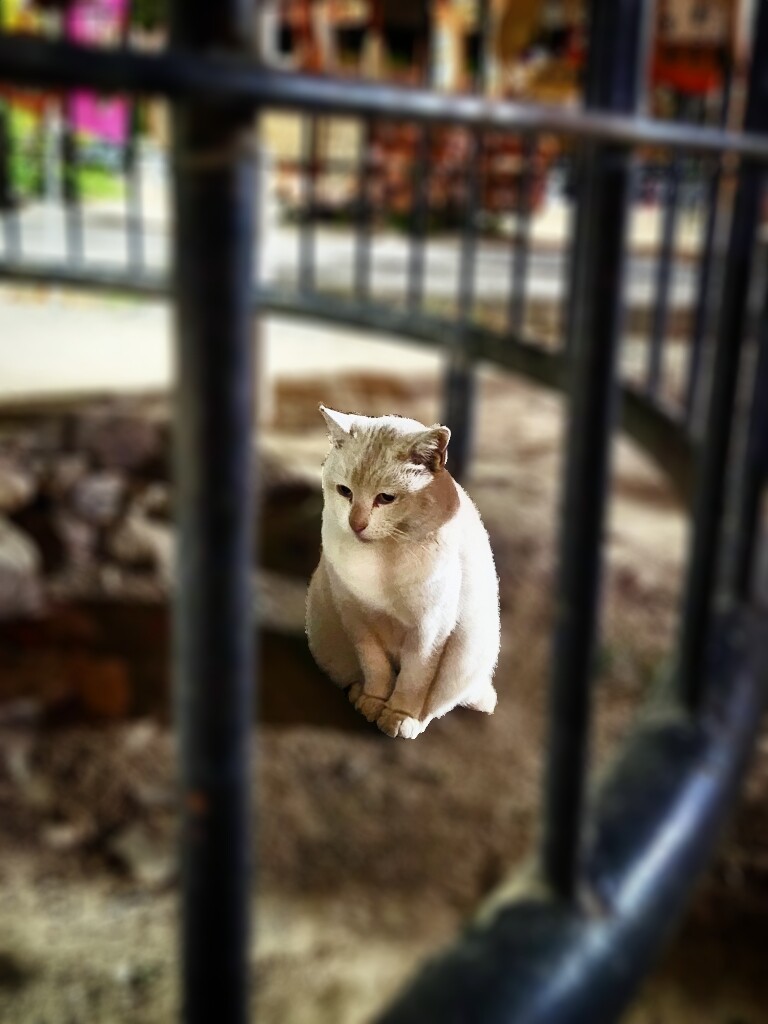 afterfocus_1701436999342