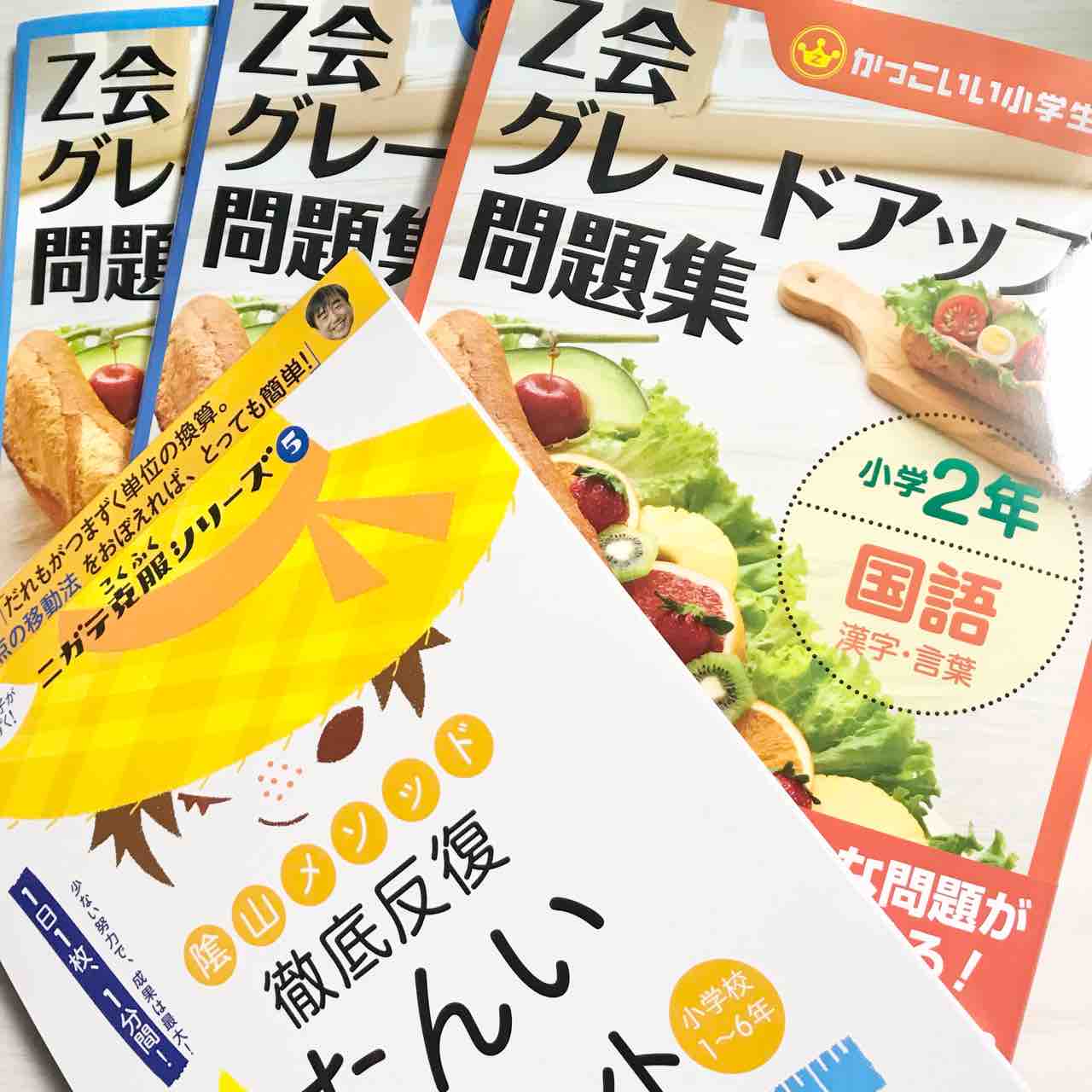小学2年生突入 今年度の家庭学習用ワークラインナップ えくぼとねこっけ 小学2年生突入 今年度の家庭学習用ワークラインナップ えくぼとねこっけ