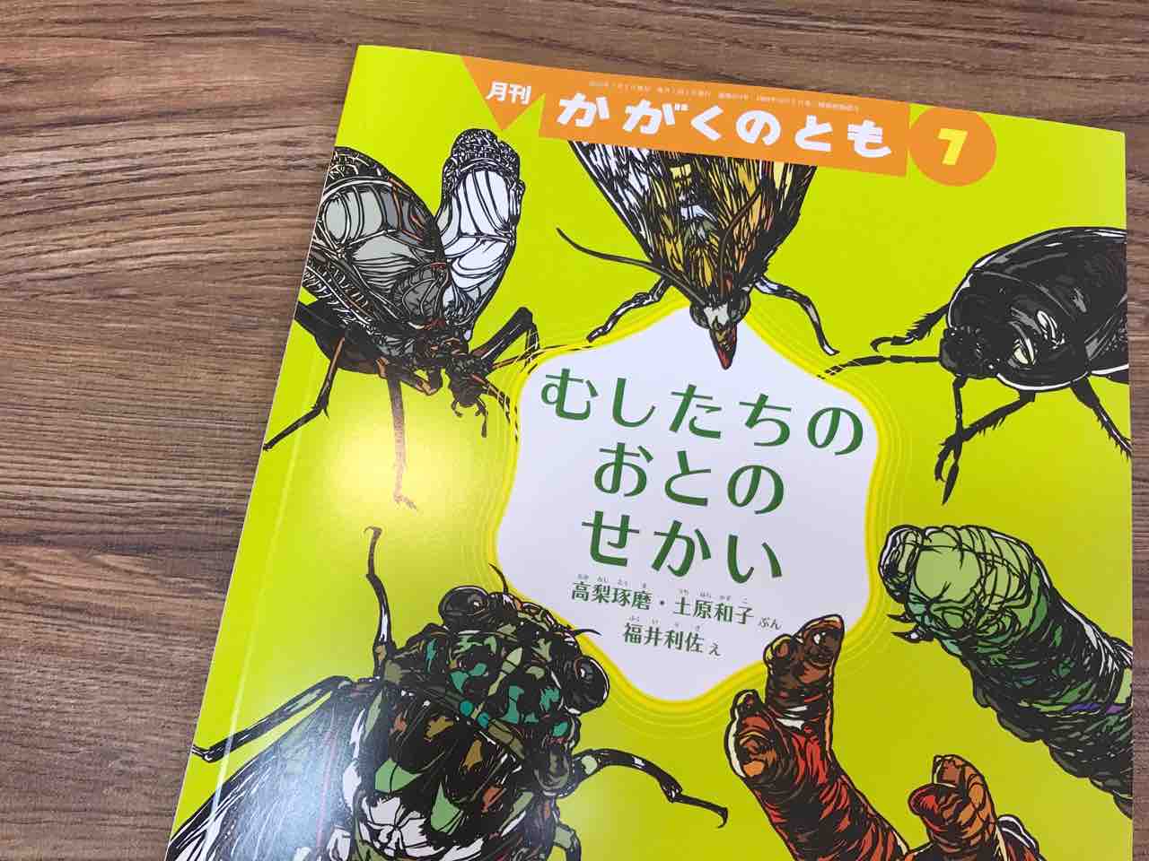 かがくのとも（7月号）『むしたちのおとのせかい』を購入しま