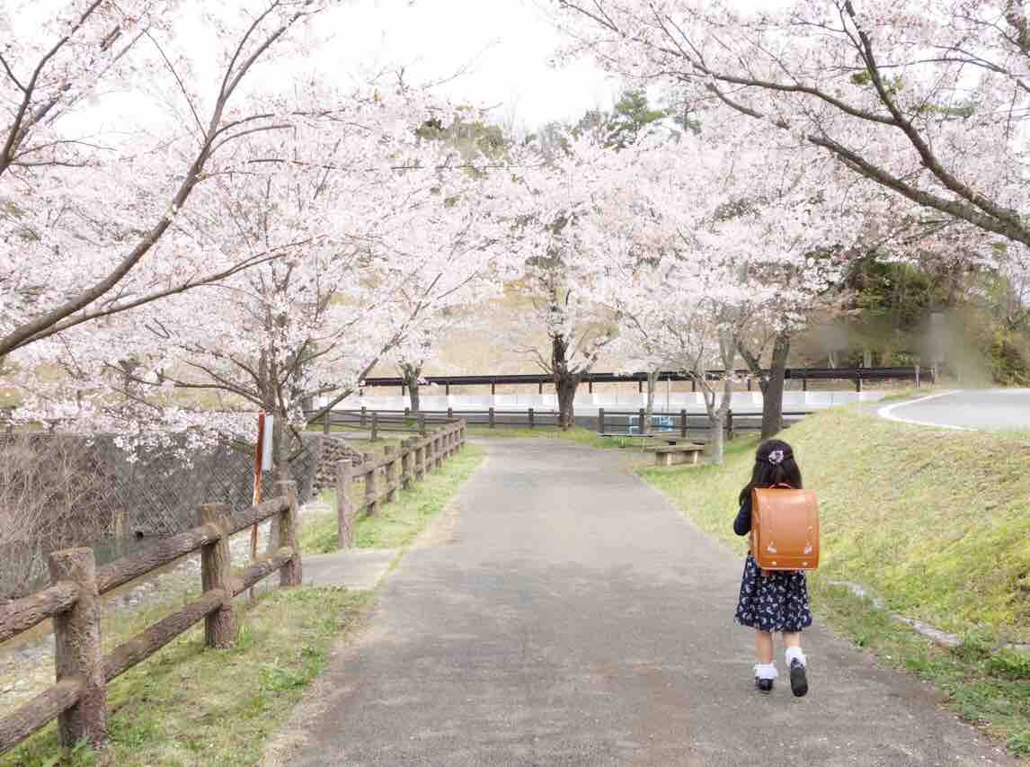 我が家の休校中スケジュール 算数国語英語をメインに 理社先取り 読書も えくぼとねこっけ 我が家の休校中スケジュール 算数国語英語をメインに 理社先取り 読書も えくぼとねこっけ